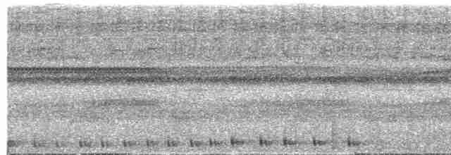 Сулуанская иглоногая сова - ML609058415