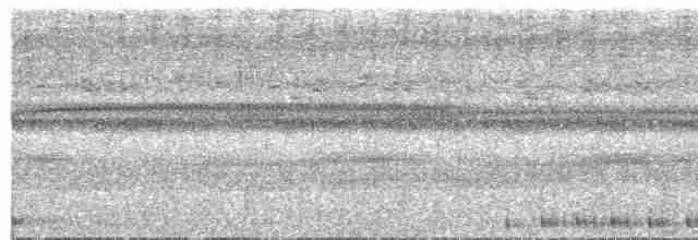 Сулуанская иглоногая сова - ML609058416