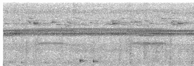 Сулуанская иглоногая сова - ML609058417