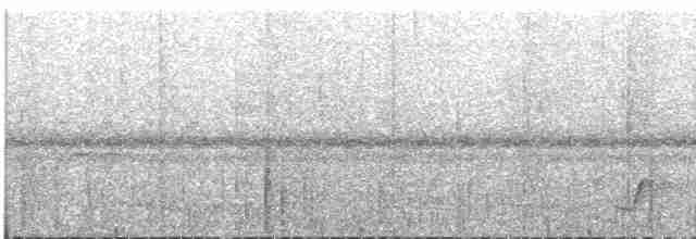 Зондский дронго (sumbae) - ML609058918