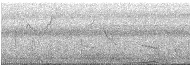 holub černošíjný - ML609059144