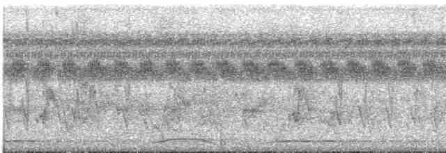 Султанская кукушковая горлица - ML609059213
