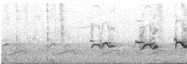 Флоресская джунглевая мухоловка (oscillans) - ML609059313