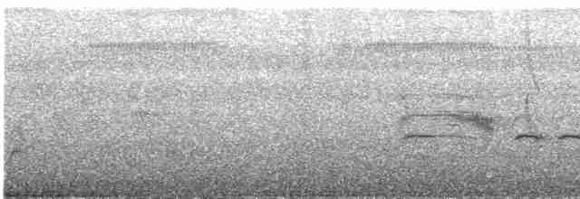Gri Arapbülbülü (cinereus) - ML609059367