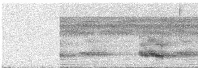 Channel-billed Toucan (Channel-billed) - ML609059547