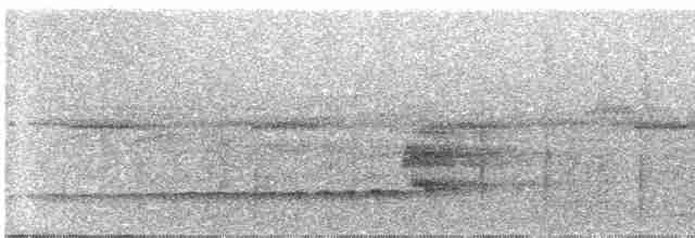 Серый тиранн-плакса - ML609059653