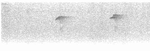 Зелёный колибри-отшельник - ML609059690