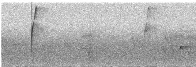 Длиннохвостый колибри-отшельник - ML609059692