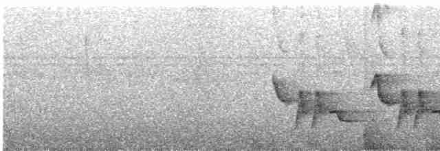 Troglodyte à calotte noire - ML609059856