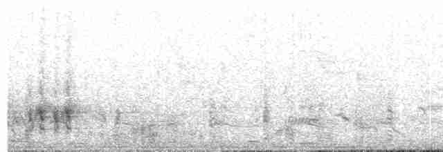 Great Reed Warbler - ML609060061