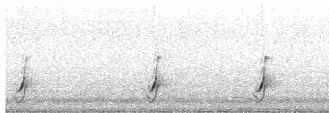 斑胸秧雞 - ML609060161