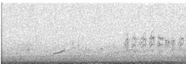Морской зуёк (alexandrinus/nihonensis) - ML609060251