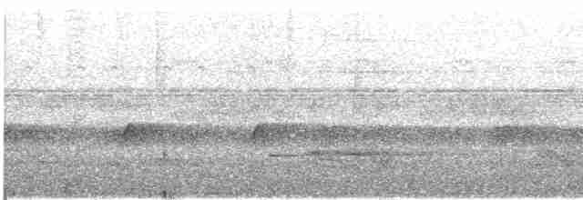Пестрогрудый зимородок - ML609060373