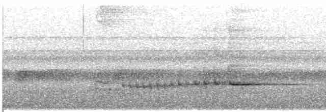 Пестрогрудый зимородок - ML609060396
