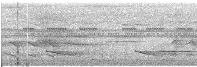 Пестрогрудый зимородок - ML609060404