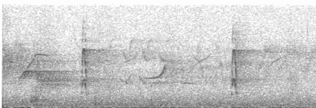 strakapoud velký [skupina major] - ML609060573