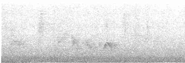 Vireo Ojiblanco (grupo griseus) - ML609060886