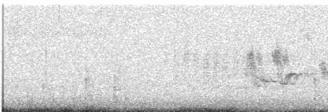 Трав’янка лучна - ML609061240