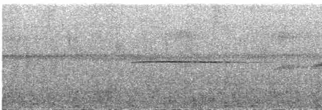 Grauscheitel-Ameisenvogel - ML609061337