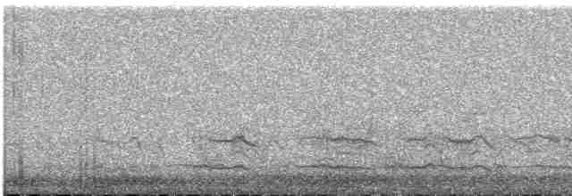 Woodchat Shrike (Western) - ML609061439