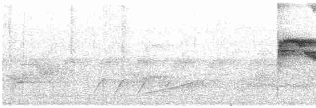 Long-tailed Broadbill - ML609061489