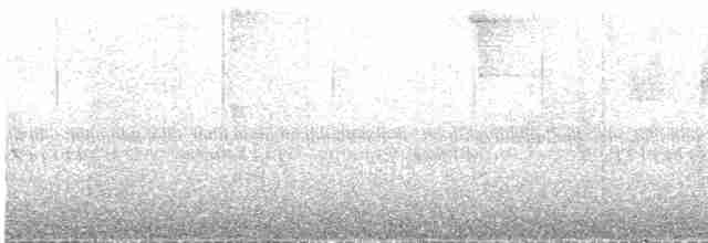 Черногорлая канделита - ML609061595