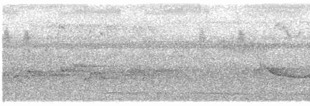 Gray-headed Babbler - ML609061663