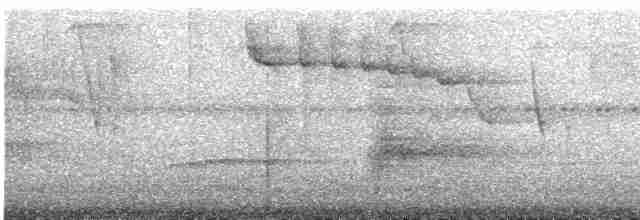 Ariane à ventre gris (groupe tzacatl) - ML609061688