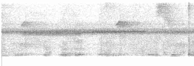 Зелёный колибри-отшельник - ML609061716