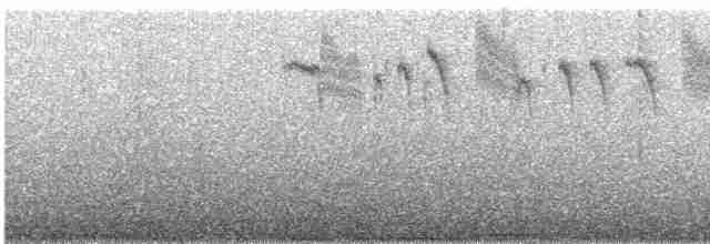 Вулкановый колибри (flammula) - ML609061789