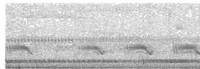 Javan Bush Warbler - ML609061977