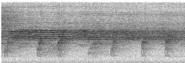 Turuncu Göğüslü Trogon [dulitensis grubu] - ML609062098