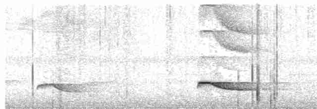 Пестрогрудый зимородок - ML609062135