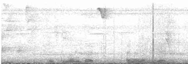 Пестрогорлый колибри-отшельник - ML609062437