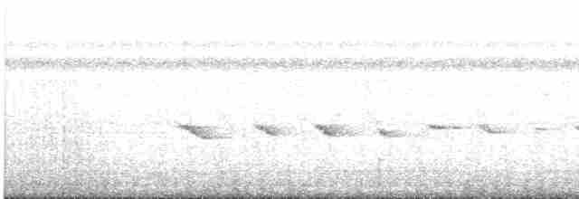 Nacktstirn-Ameisenvogel - ML609062585
