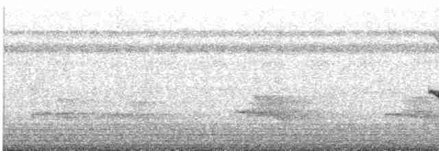 Nacktstirn-Ameisenvogel - ML609062586