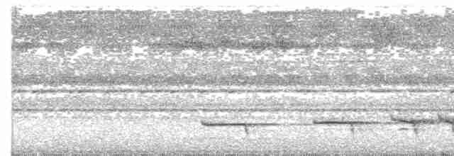 Крючкоклювый зимородок - ML609063003