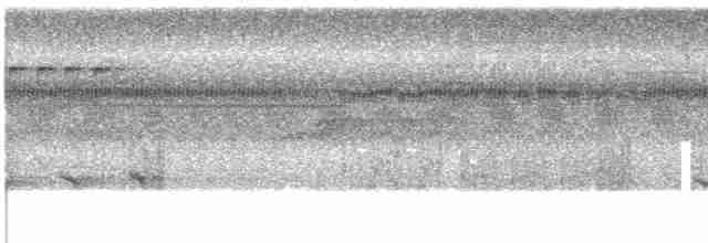 Филиппинская дронговая кукушка - ML609064161