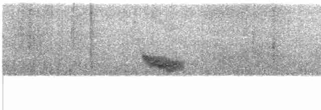Вилохвістка плямиста - ML609064452