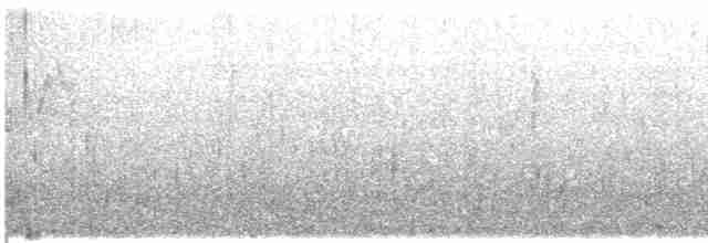 Вилохвістка плямиста - ML609064453