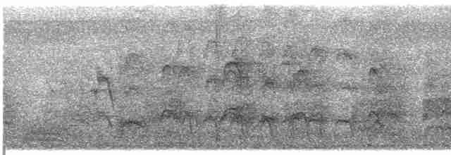 Cratérope de brousse (groupe striata) - ML609064992