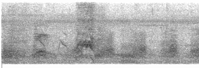 Cratérope de brousse (groupe striata) - ML609064995
