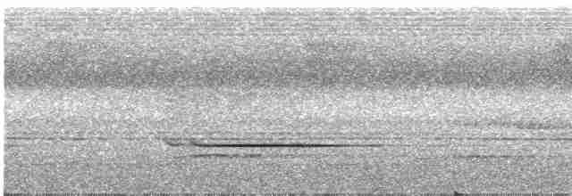 Striped Wren-Babbler - ML609065211