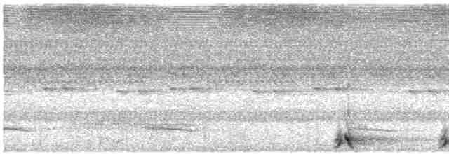 Сулавесская иглоногая сова - ML609065242