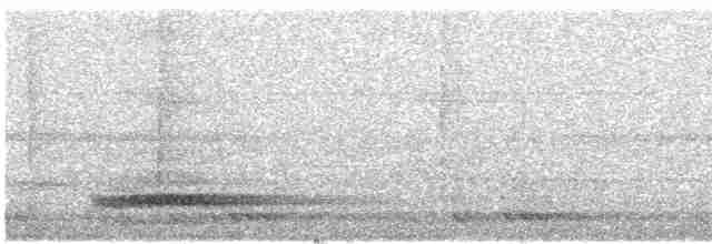 Бронзовохвостый павлиний фазан - ML609065327