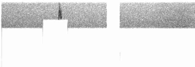 Уздечковый овсяночник (xanthogramma) - ML609065434
