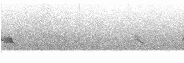 Уздечковый овсяночник (xanthogramma) - ML609065479