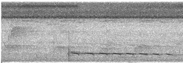 Аруанский райский зимородок - ML609065750