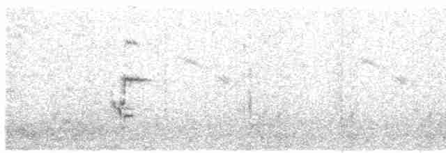 Çatal Kuyruklu Drongo (divaricatus/lugubris) - ML609066514