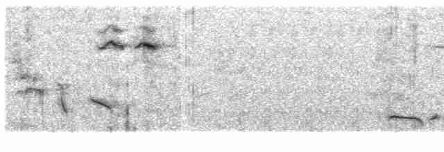 Alaca Kanatlı Çalı Bülbülü [leucoptera grubu] - ML609066527